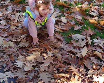 exploring-the-local-park-in-autumn